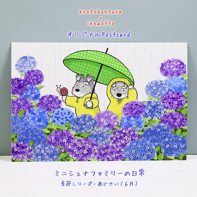 kyotobunguya x ikemotto オリジナルポストカード ミニシュナ 
