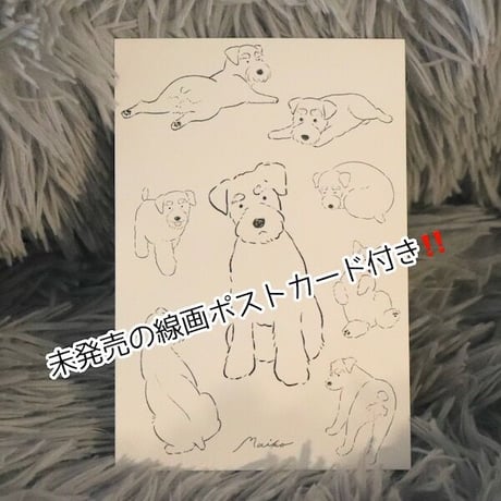あさのまいこxkyotobunguya〈オリジナルデザイン〉シュナのこんなしぐさが好きシリーズポストカード全8種お買い得セット未発売の線画8ポーズポストカード付き