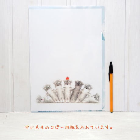 ikemotto x kyotobunguyaA4サイズクリアファイル〈オリジナルデザイン〉ミニシュナ兄弟の大冒険