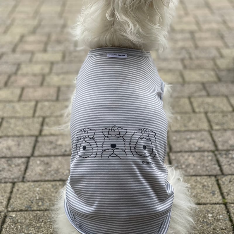 シュナ服（わんこ用服）・ストライプ・夏服・タンクトップ・名前入り犬