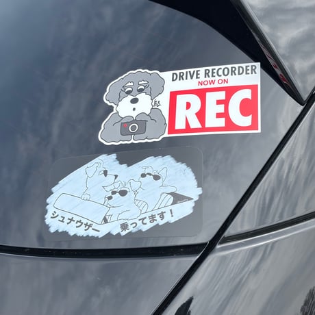 シュナの車用ステッカー＆マグネット・乗ってまシュナ・撮ってまシュナ