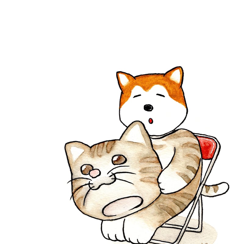 kyotobunguya x ikemotto オリジナルポストカード 猫をかぶる kyotobunguya x ikemotto オリジナルポストカード 猫をかぶる