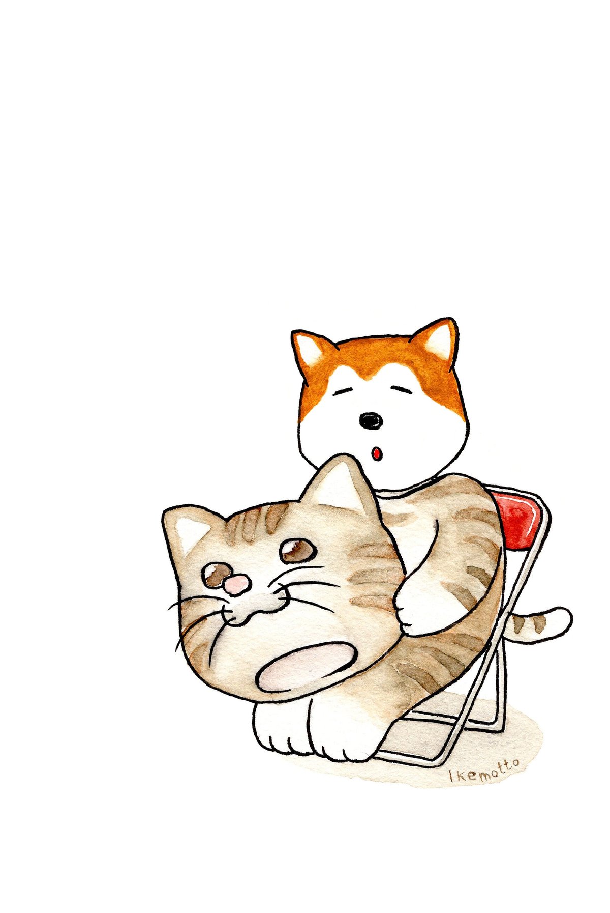 kyotobunguya x ikemotto オリジナルポストカード 猫をかぶる kyotobunguya x ikemotto オリジナルポストカード 猫をかぶる