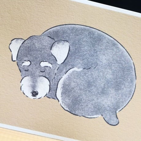 あさのまいこxkyotobunguya〈オリジナルデザイン〉シュナのこんなしぐさが好きシリーズ全8種ポストカード