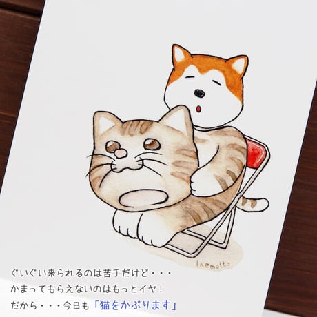 kyotobunguya x ikemotto　オリジナルポストカード　猫をかぶる・・・柴犬やまとの本音シリーズ