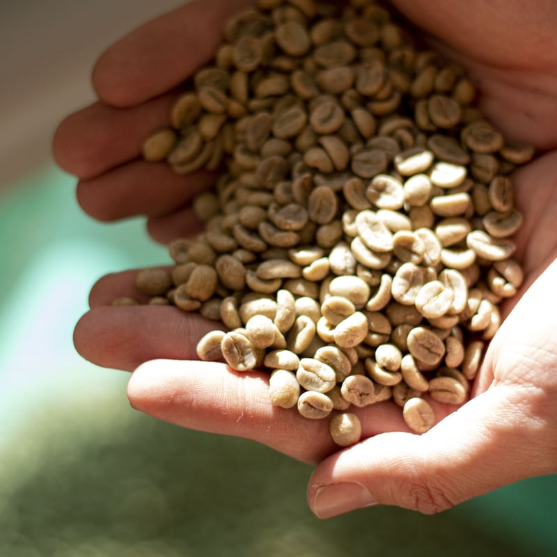 1kg TAOCA BLEND 中煎り | TAOCA COFFEE