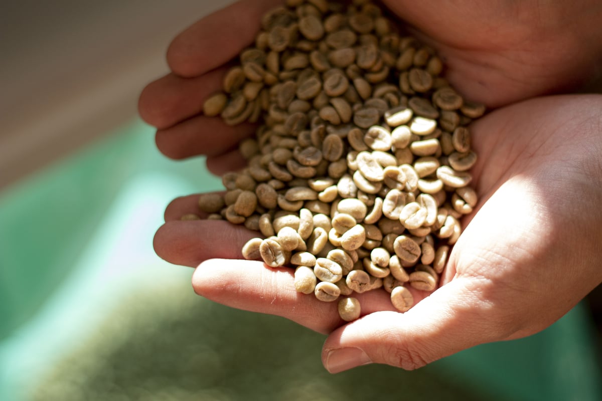 1kg TAOCA BLEND 中煎り | TAOCA COFFEE