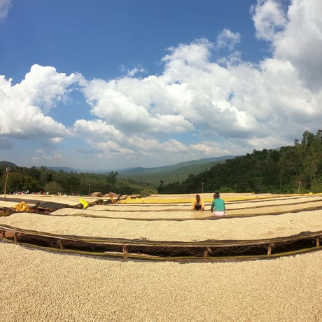 100g ブラジル カルモエステート 中深煎り