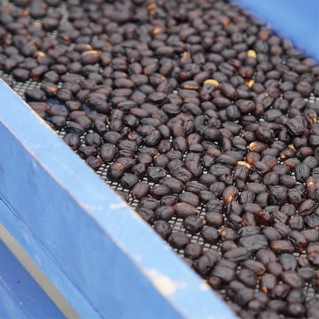 500g コスタリカ ハシエンダコペイ Lot 82  浅煎り