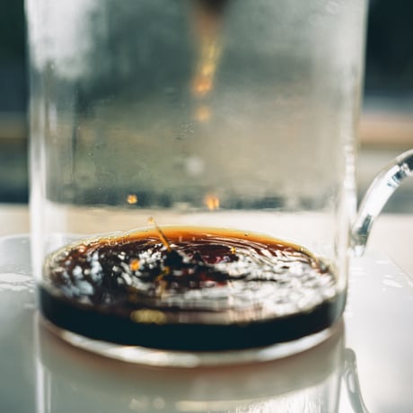 100g ブラジル カルモエステート 中深煎り