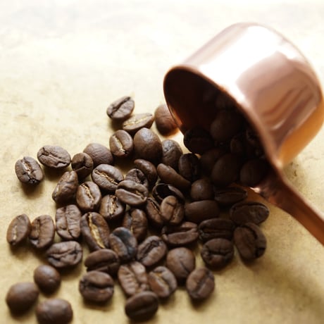 【Kalita】 銅メジャースプーン