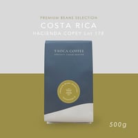 500g  コスタリカ ハシエンダコペイ Lot178  浅煎り