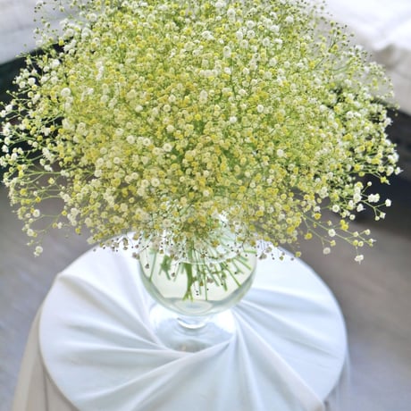 【order】かすみ草のwedding bouquet 💍