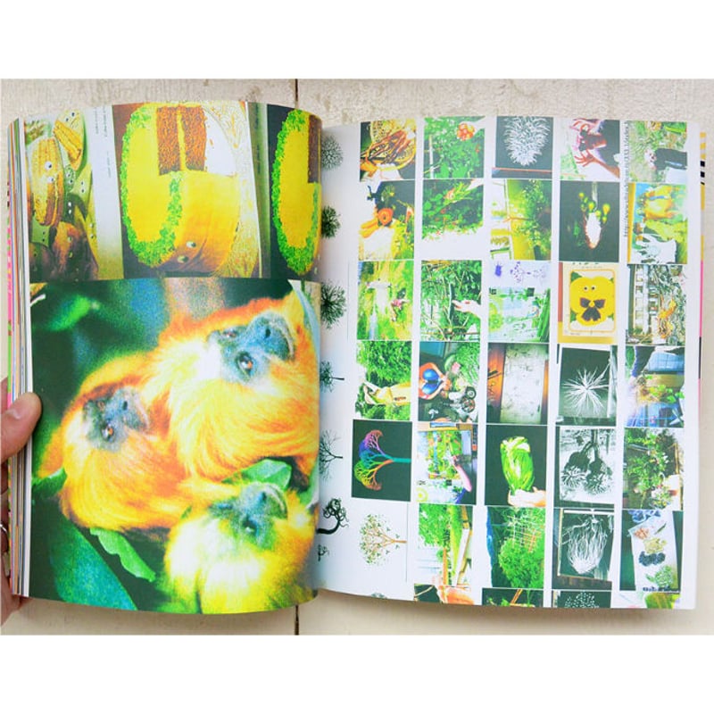 【もこもこ】ネオンアディクト 蛍光色の本 used book】ネオンアディクト 蛍光色の本 / アジール /帯付 (bo-004) |