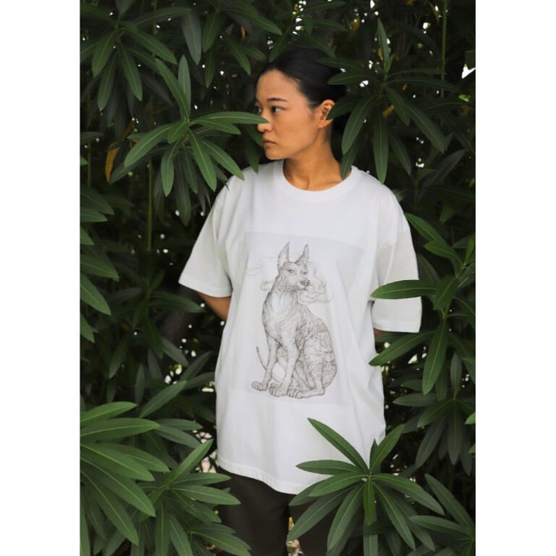 希少 青木京太郎 Tシャツ フリーサイズ KYOTARO