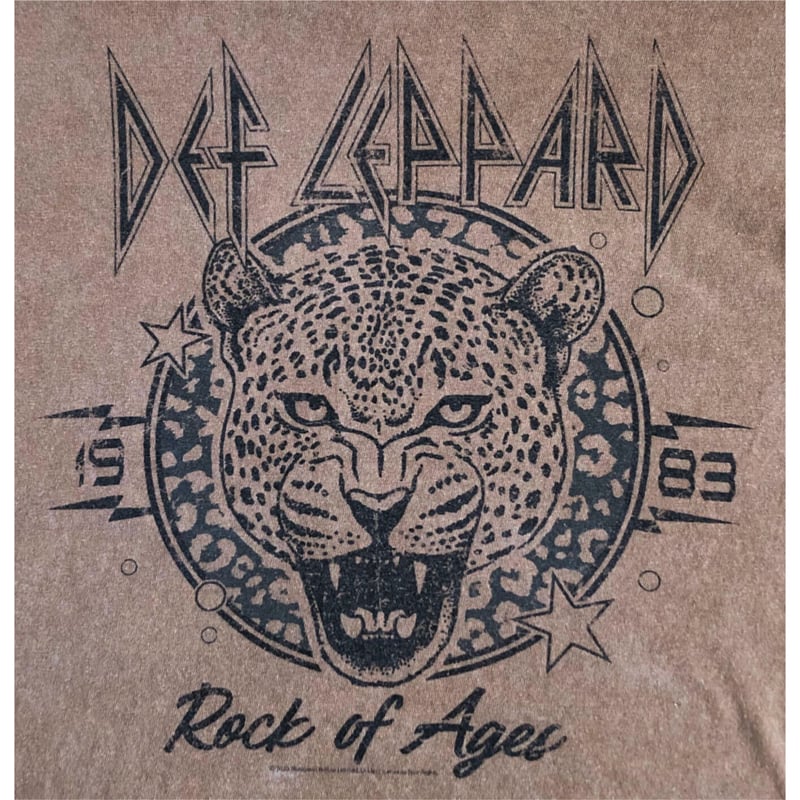 古着 THE VINYLICONS DEF LEPPARD カットオフ デフレパード バンド スウェットプルオーバーパーカー レディースXXL相当 /eaa514734 古着 THE VINYLICONS DEF LEPPARD カットオフ デフレパード