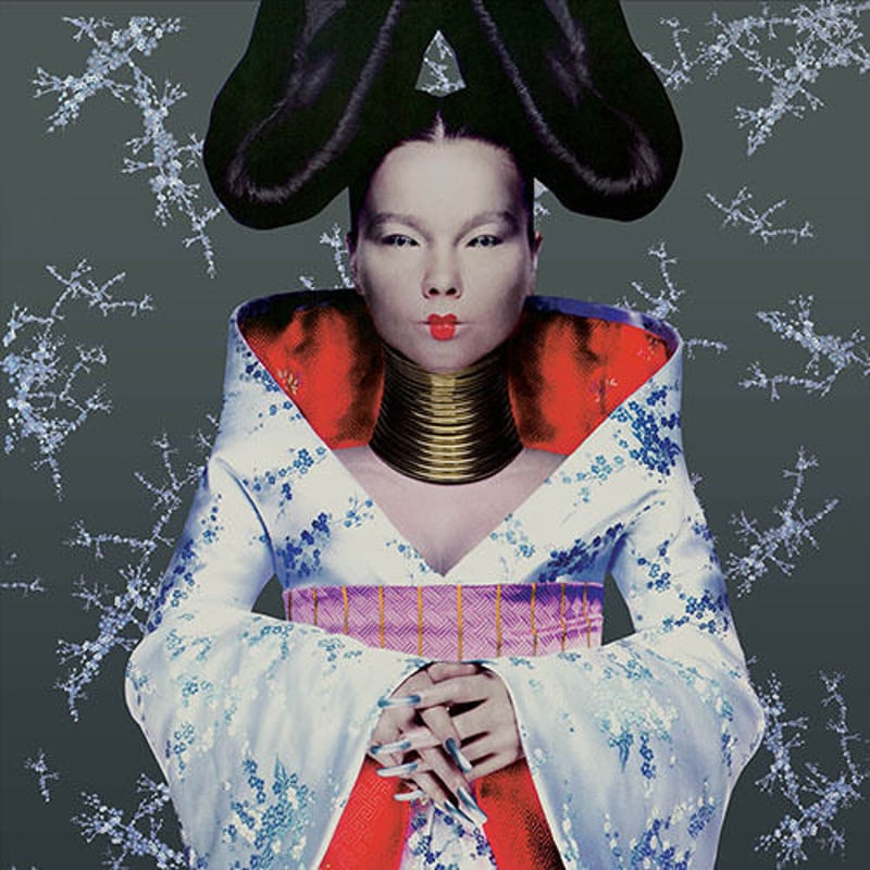 再入荷!!!【Bjork / Homogenic】 pin badge (ar-254-29)