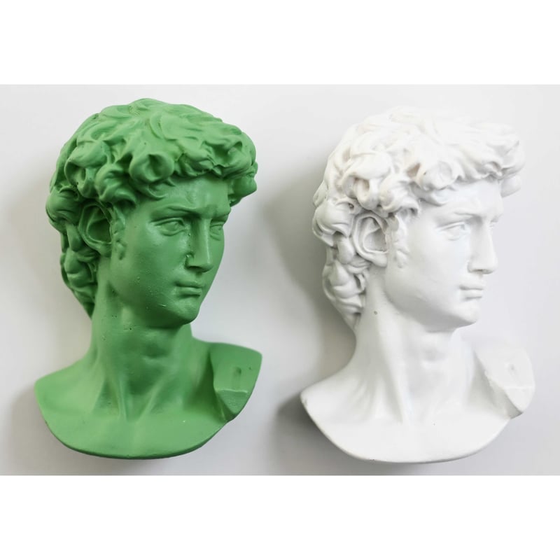 Statue of David / Michelangelo】resin magnet -w