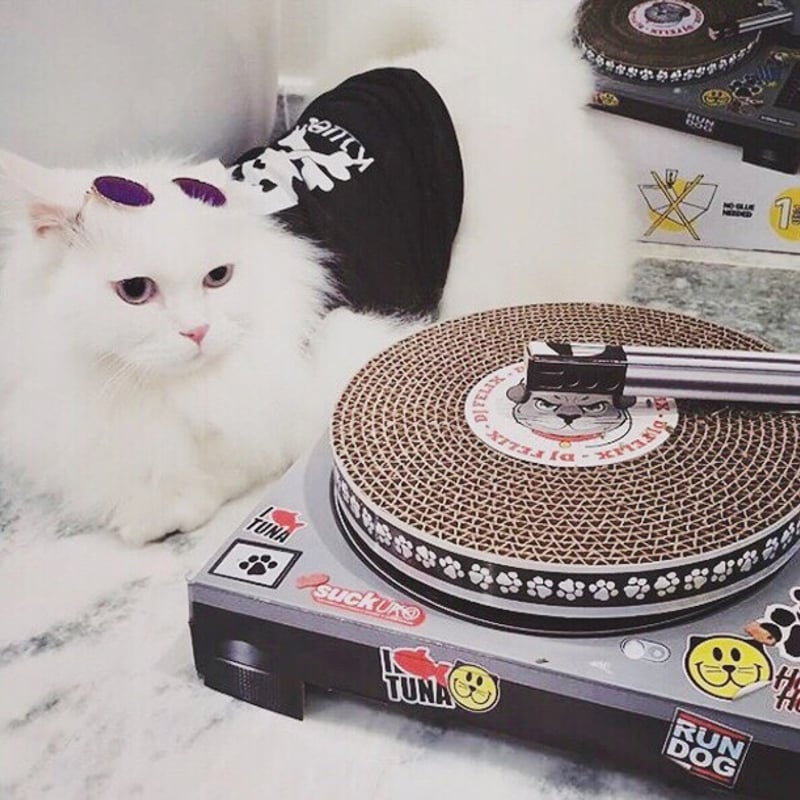 packsafe猫クラシックチュチュ ねこ 11S-M01 – JEKCA-SHOP