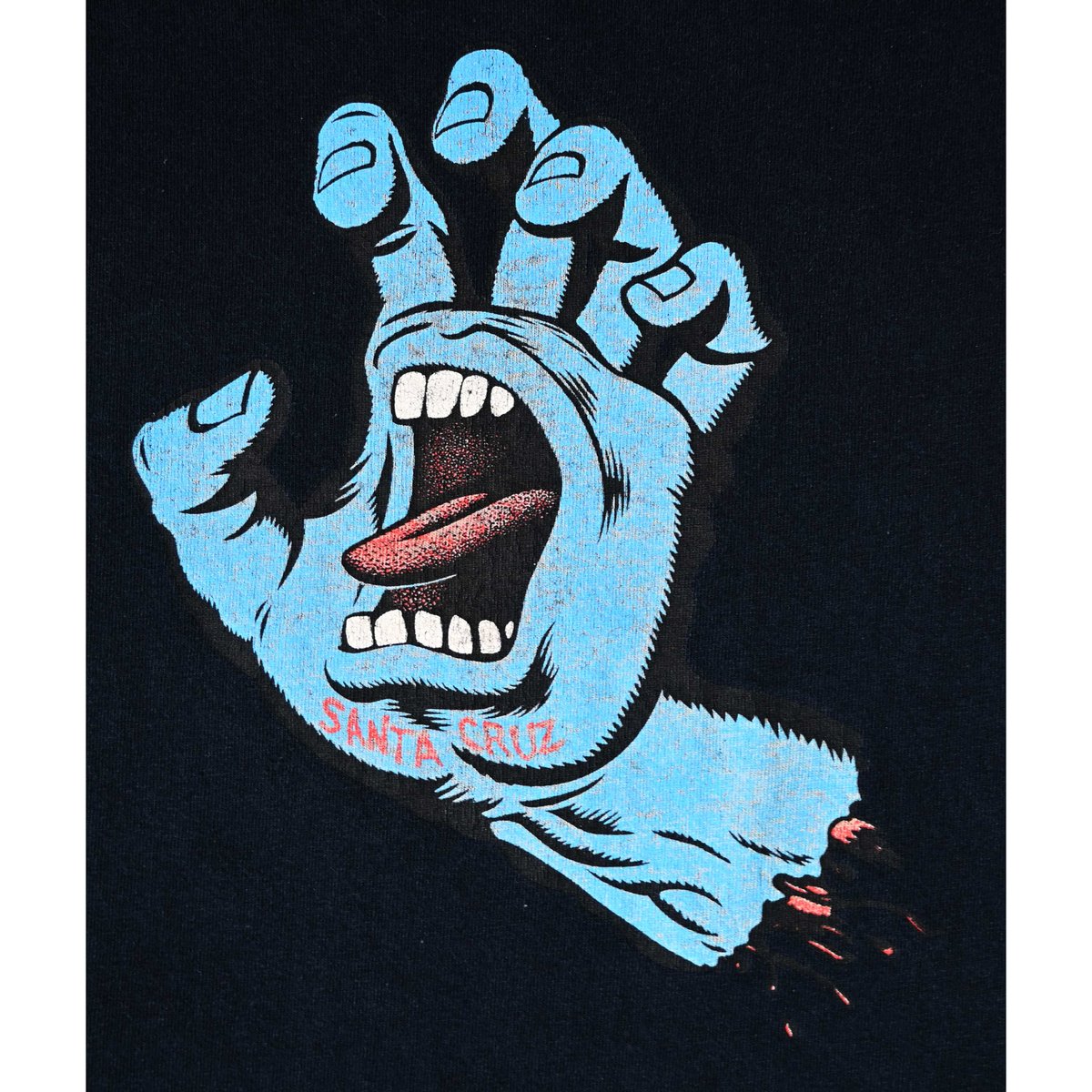 vintage /Santa Cruz】