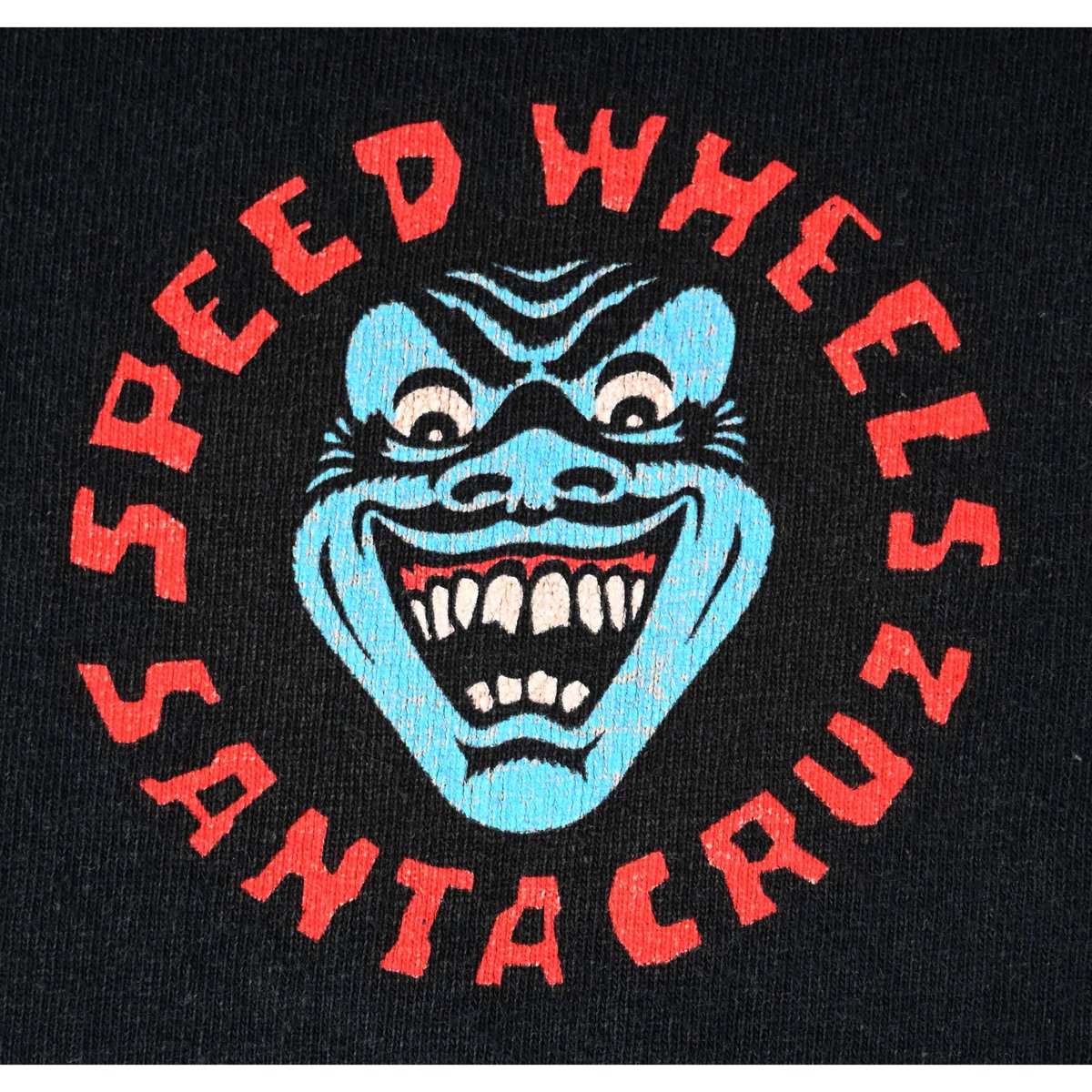 vintage /Santa Cruz】