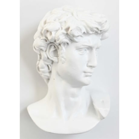 ダビデ×骸骨 ダビデフェイス ダビデ像 胸像 スカル インテリア 128-123