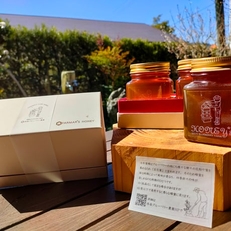日本蜜蜂の純粋蜂蜜  500ｇ【250ｇ×2本入】専用の化粧箱での発送です