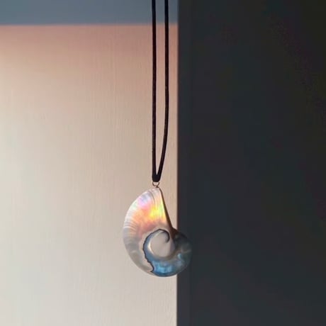 Echo Shell Necklace silver925