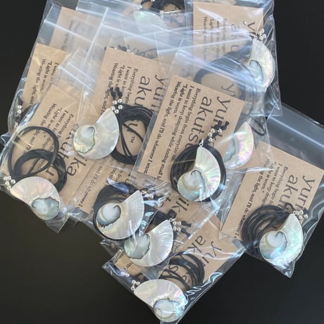 Echo Shell Necklace silver925