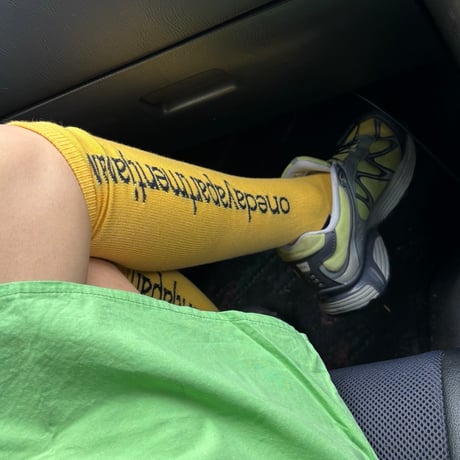 merino border socks / merino logo socks