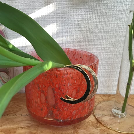 S ____ 001 . light gold hoop