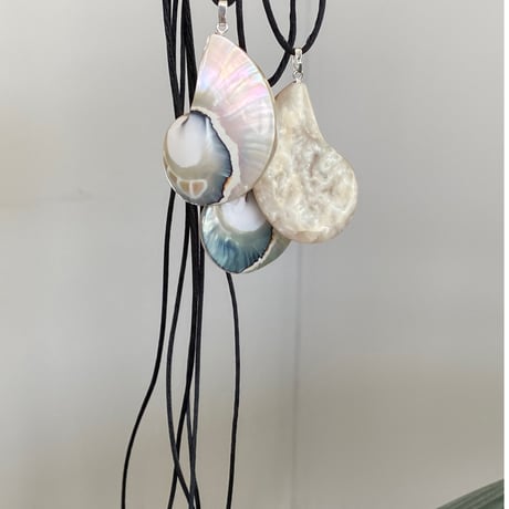 Echo Shell Necklace silver925
