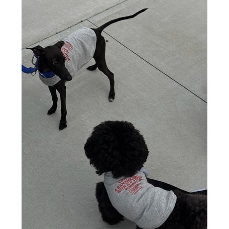 【受注販売】BANANA BREAD / DA DOG PACK TEE