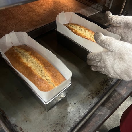 CATEGORY Don't tell anyone | yurikaakutsu