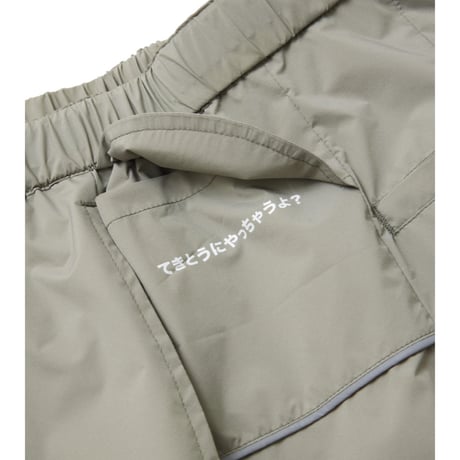 【CHAOS FISHING CLUB】SNAG PANTS GRAY