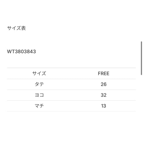 【WILD THINGS】フライト ミニダッフル│FLIGHT MINI DUFFLE