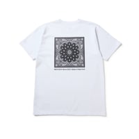 【NEWERA】半袖 コットン Tシャツ Paisley　ホワイト