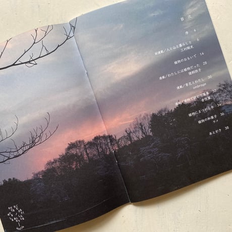 ideallife with plants #13 「人と山/植物のおもいで」