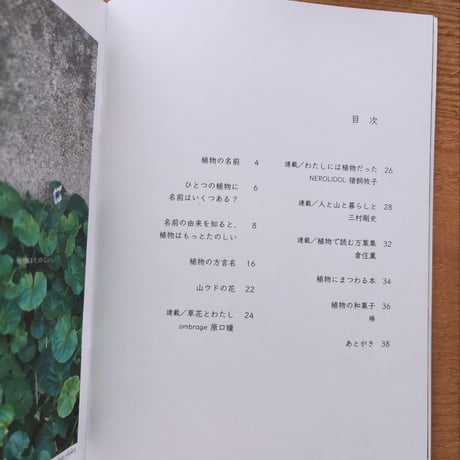 ideallaife with plants #16 「植物の名前」