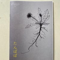 ideallife with plants #15 「たんぽぽ」