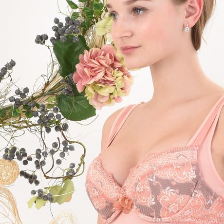 ブラジャー（haruyo brownie）日本製　418017