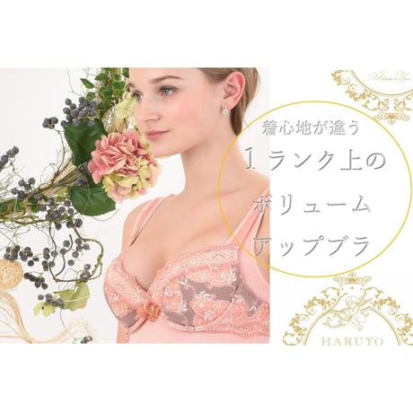 ブラジャー（haruyo brownie）日本製　418017