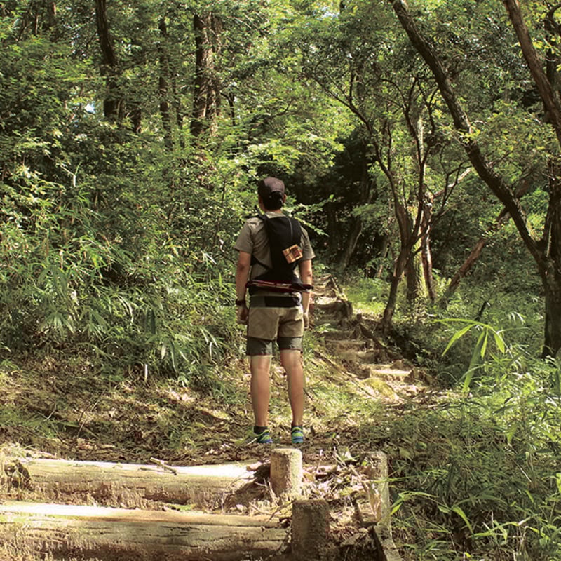 GRAND ZOMA レギュラーサイズ | yamarokko