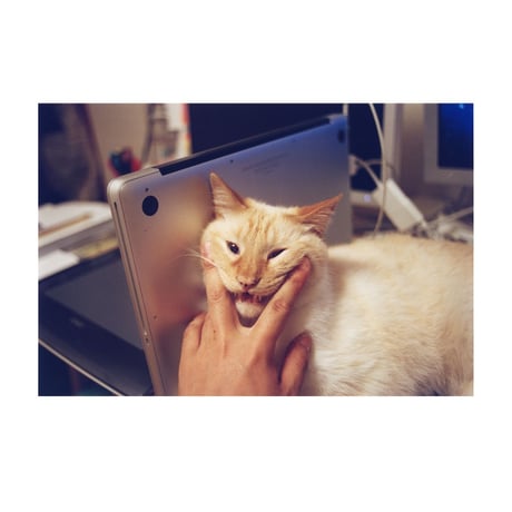 森康志写真集『ハットリくん』  特装版
