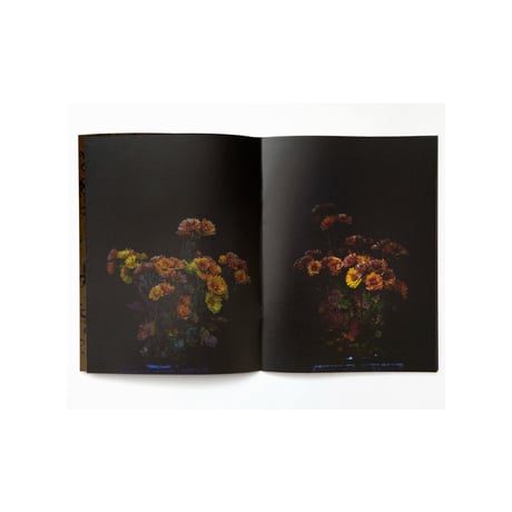 野村佐紀子写真集『月夜』(サイン入り）