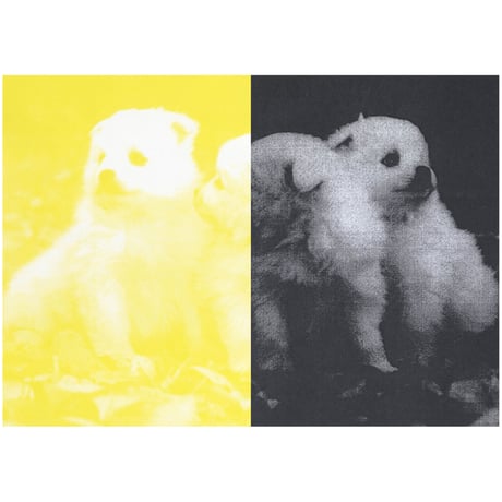 北川浩司写真集『Fur』プリント付き