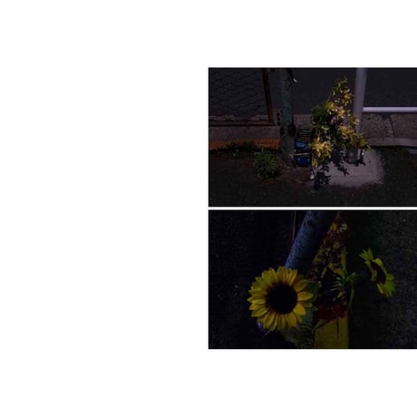 野村佐紀子写真集『Flower』