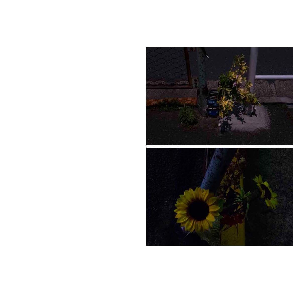 【サイン入り】野村佐紀子　NUDE / A ROOM / FLOWERS TOKYO CULTUART by BEAMS（トーキョー カルチャート by ビームス