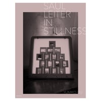 井津由美子写真集『Saul Leiter : In Stillness』