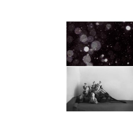 野村佐紀子写真集『Flower』